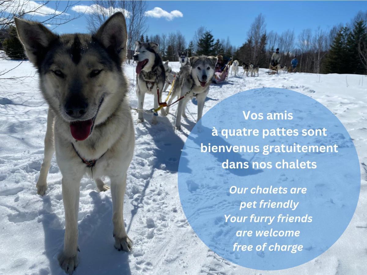Husky - Chalets De Moh - Jacuzzi La Malbaie Εξωτερικό φωτογραφία
